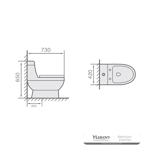 YS24102	One piece ceramic toilet, siphonic;