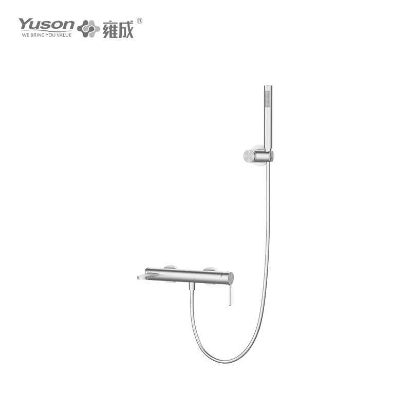 3160-22K SS 316L Single Lever Wall Mounted Shower Faucet with handheld showerhead 