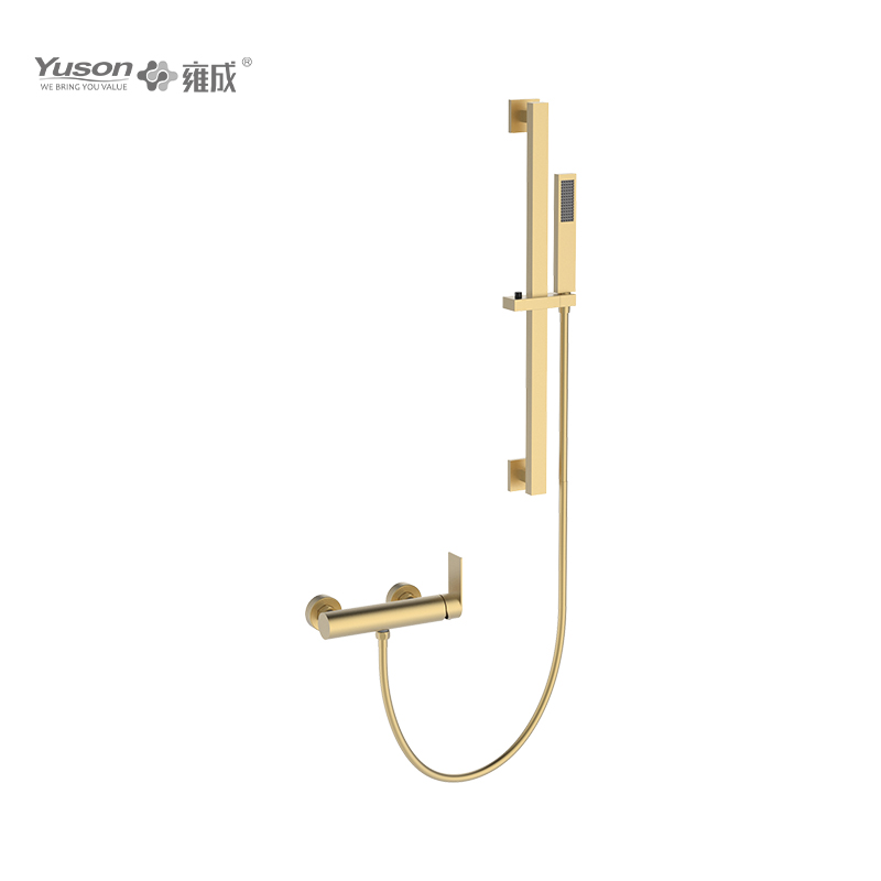 3163-24K1 SS 316L Single lever wall-mounted shower mixer with  sliding shower kit