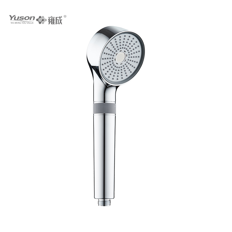 P1284 2 Jets Handshower