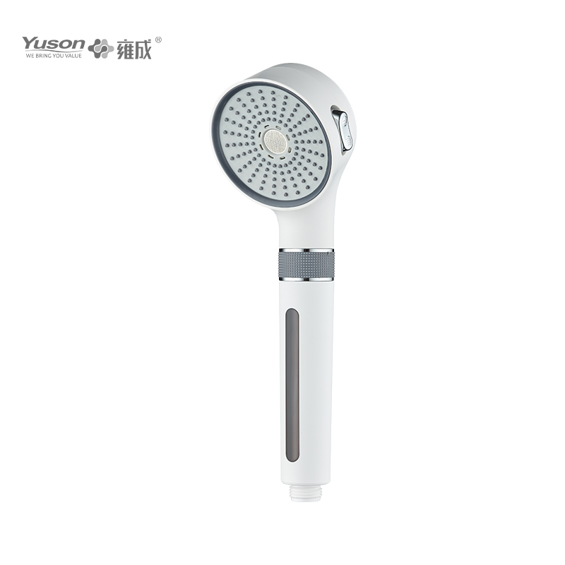 P1284 2 Jets Handshower