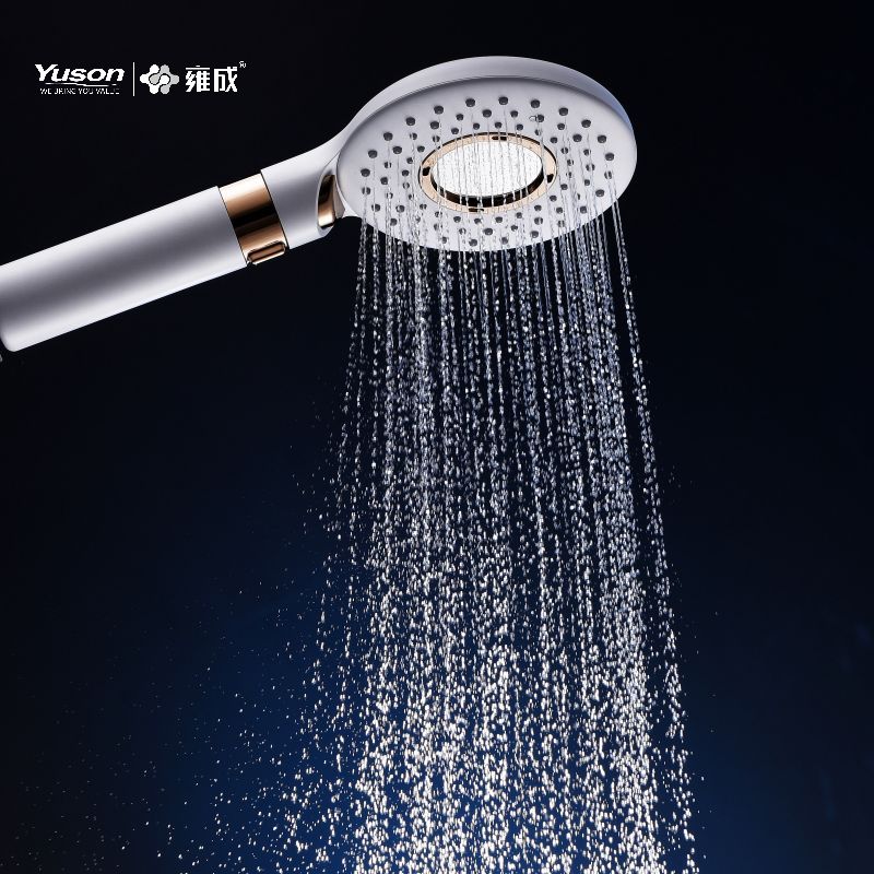 P1104 ABS hanshower