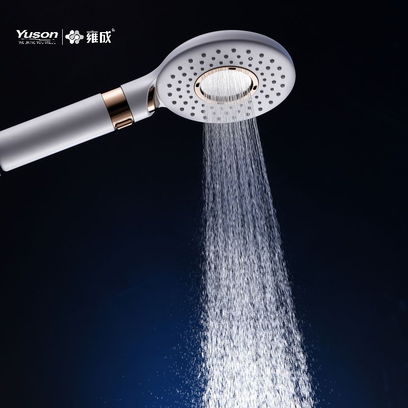 P1104 ABS hanshower