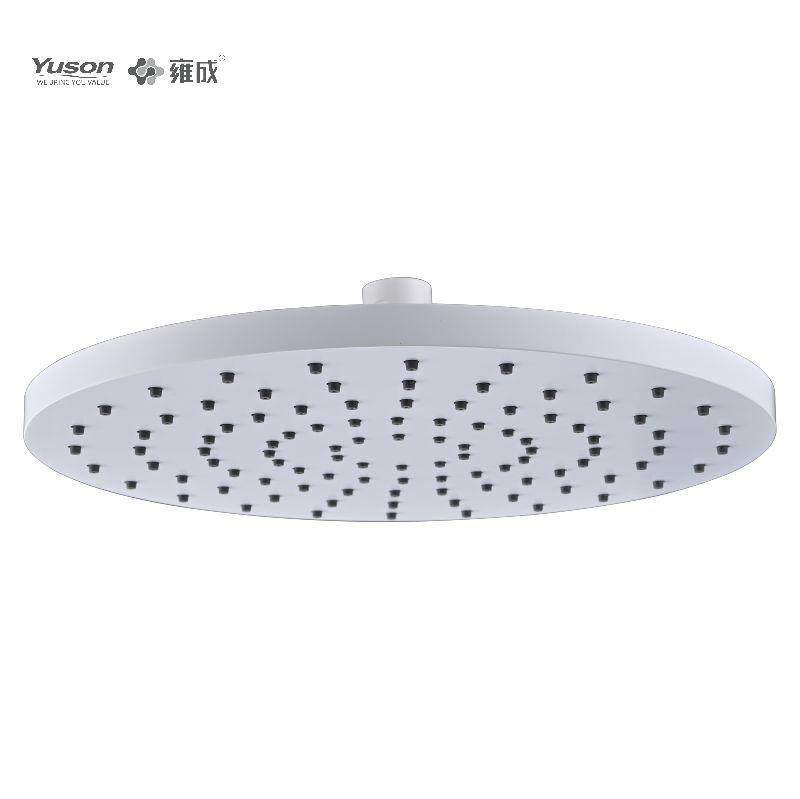 YS31619T  Rain Showerhead