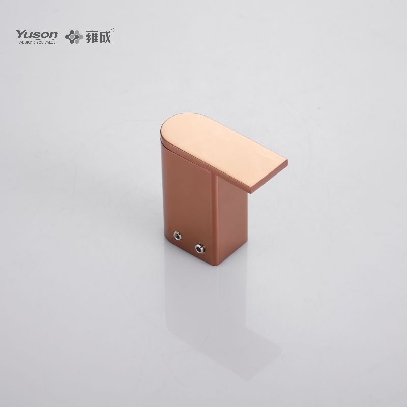 12688 Robe hook